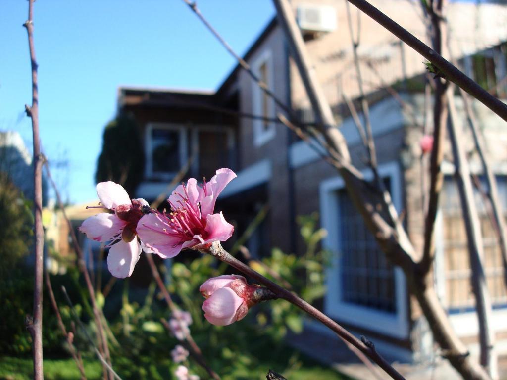 La Demorada Bed and Breakfast San Antonio de Areco Εξωτερικό φωτογραφία