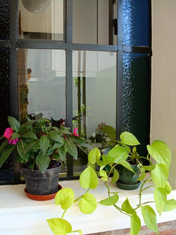 La Demorada Bed and Breakfast San Antonio de Areco Εξωτερικό φωτογραφία
