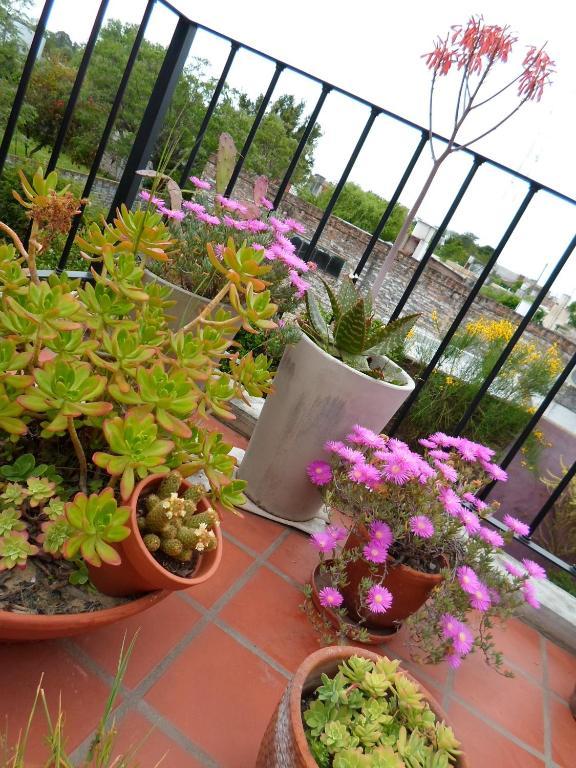 La Demorada Bed and Breakfast San Antonio de Areco Εξωτερικό φωτογραφία